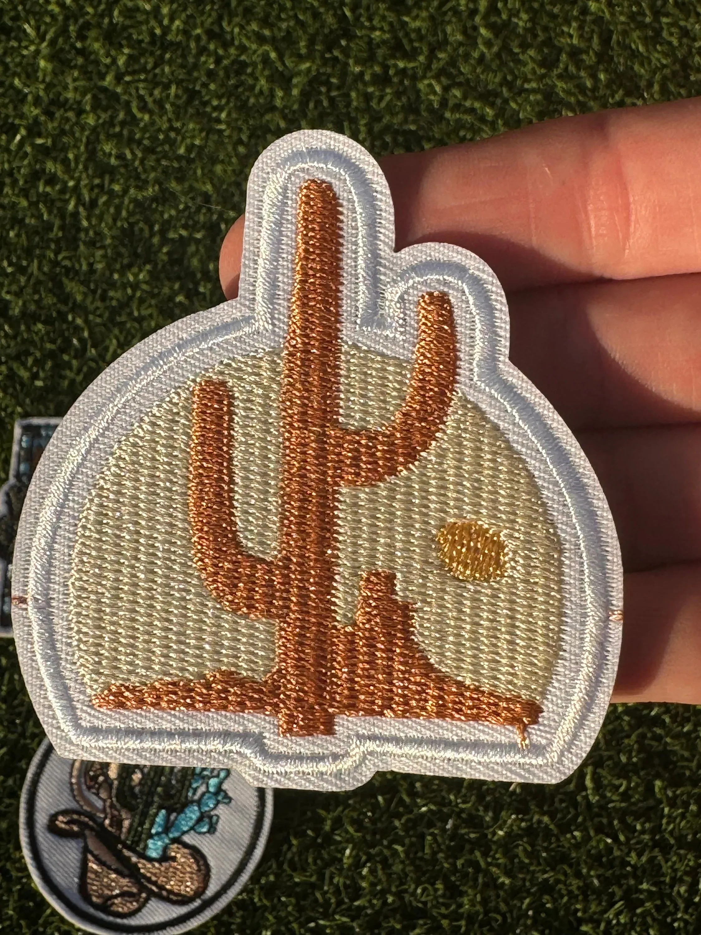 Desert Cowboy Iron On Patches