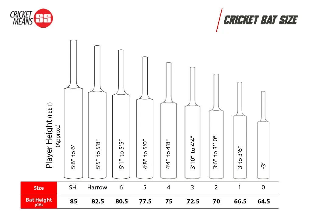 SS Gunther English Willow Cricket Bat – SH (Set of 2) | KIBI SPORTS